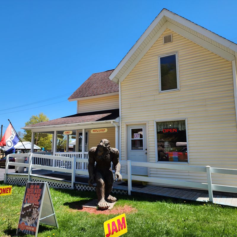 Pair Lunch With The Playground Next Door