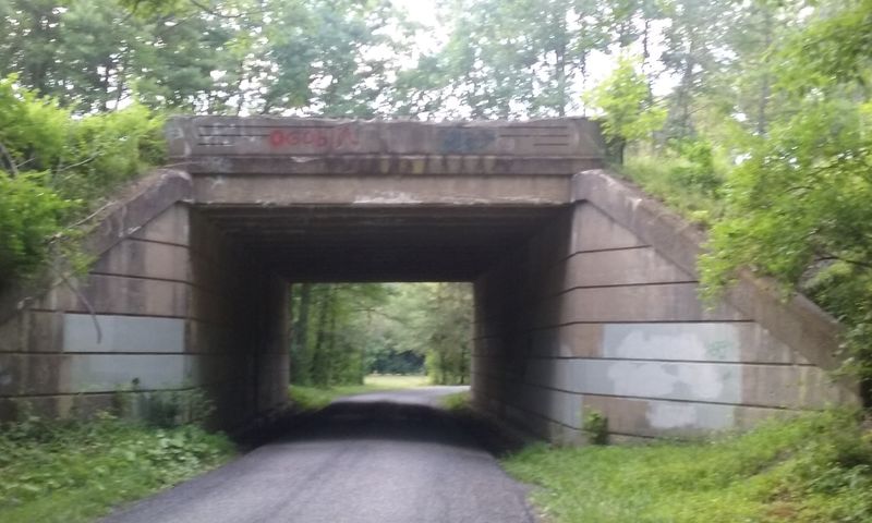 The Forest Office And Resource Center Are Genuinely Helpful