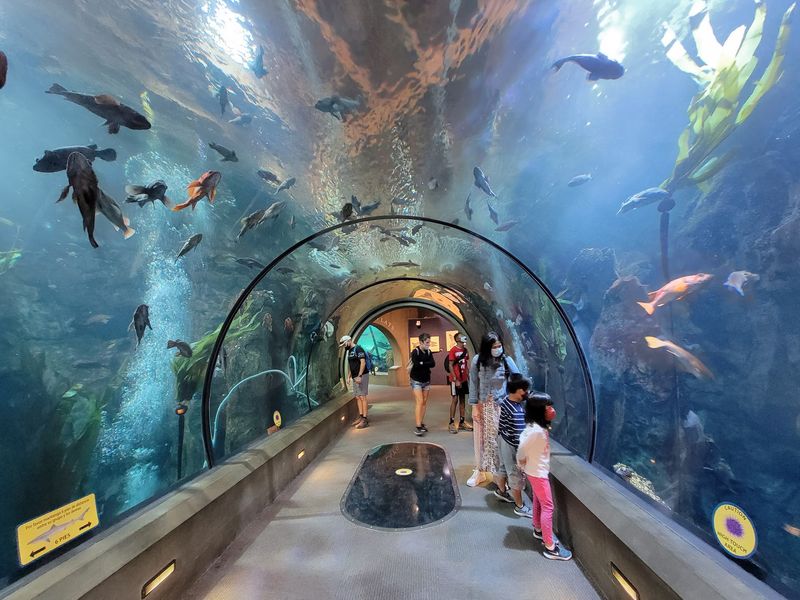 Oregon Coast Aquarium