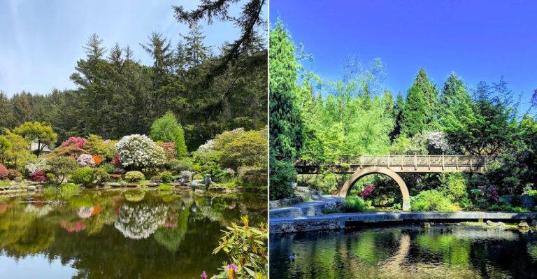 Oregon Is Full Of Hidden Beauty And 12 Secret Gardens Capture It Perfectly