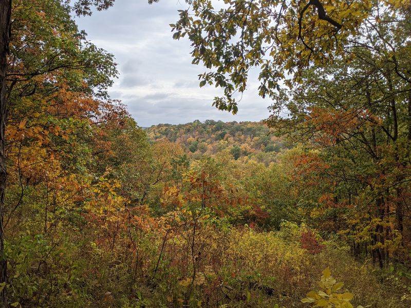 Oregonia, Warren County