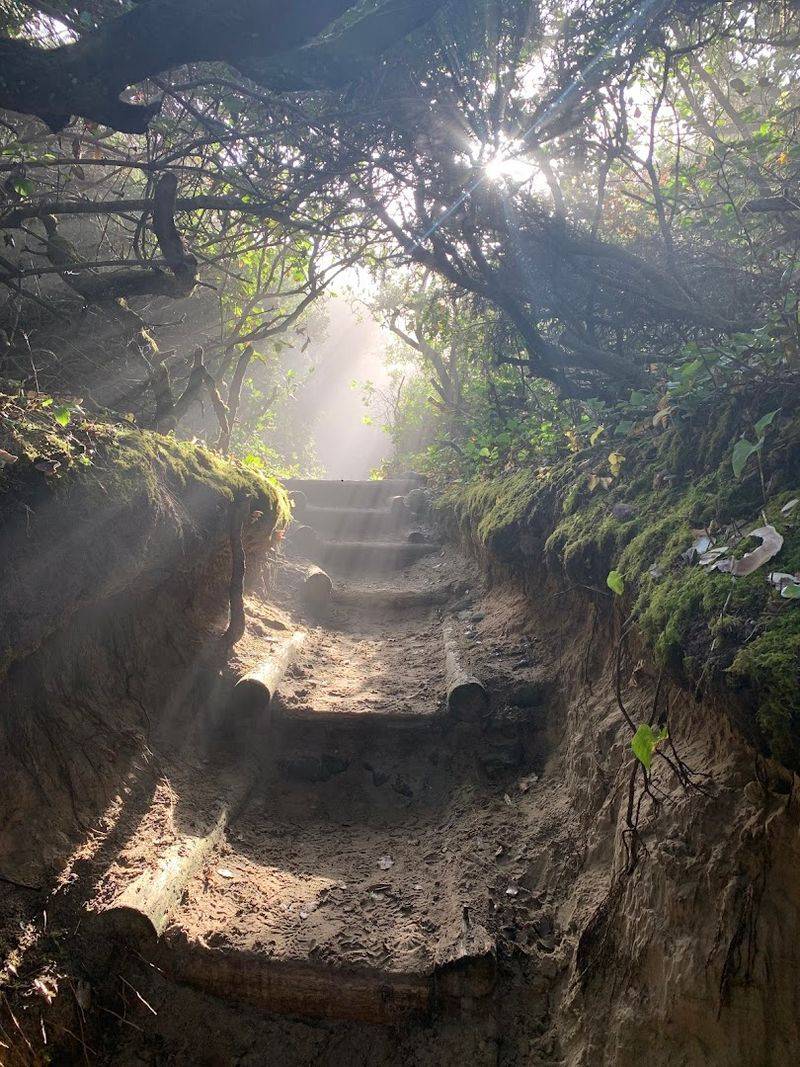 The Trailhead That Sets The Mood Immediately