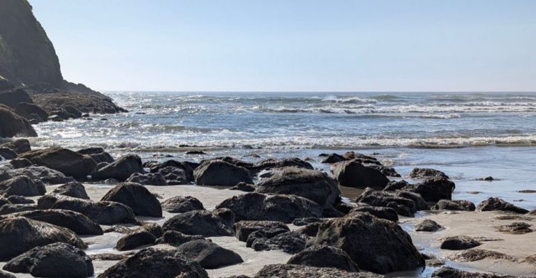 Oregon’s Hobbit Beach Trail Feels Like A Secret Door To The Ocean