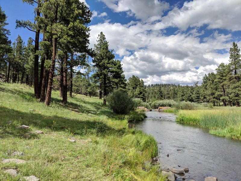 White Mountains, Pinetop Lakeside And Greer Cool-Off