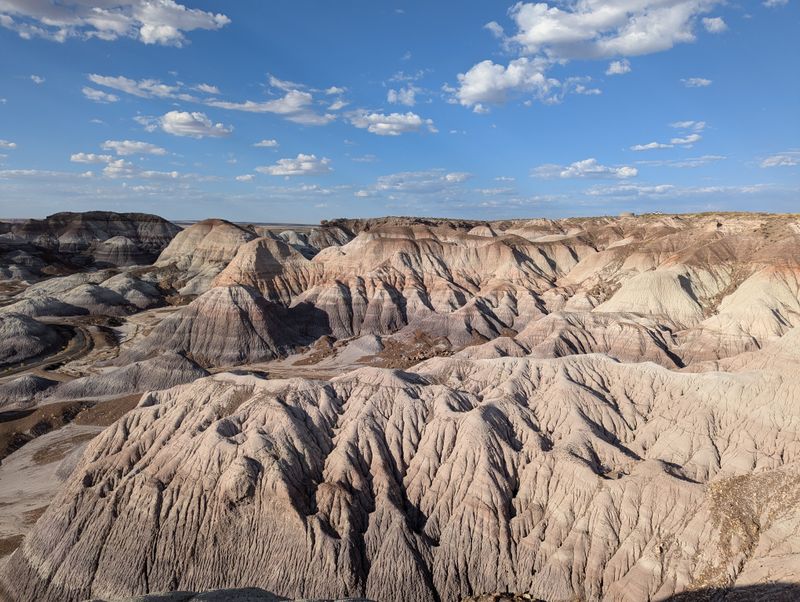 Petrified Forest National Park