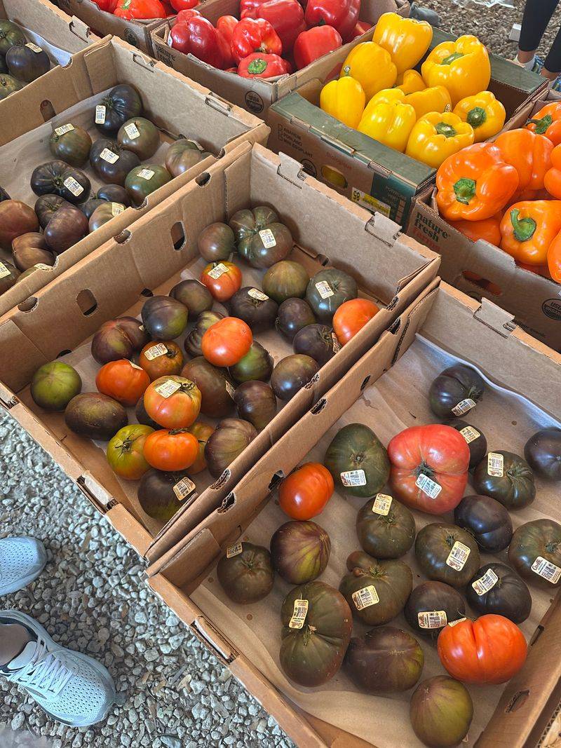 Pacha Roots — 3300 Grand Ave, Miami