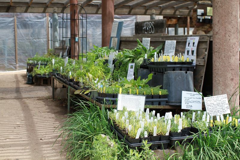 Organic Growing Principles Behind The Plant Tables