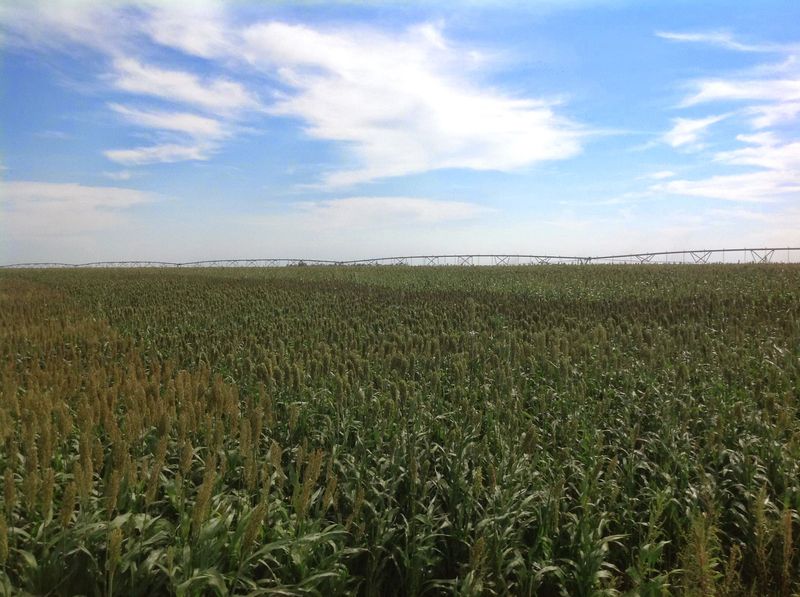 Prairie Landscape Surrounding The Town