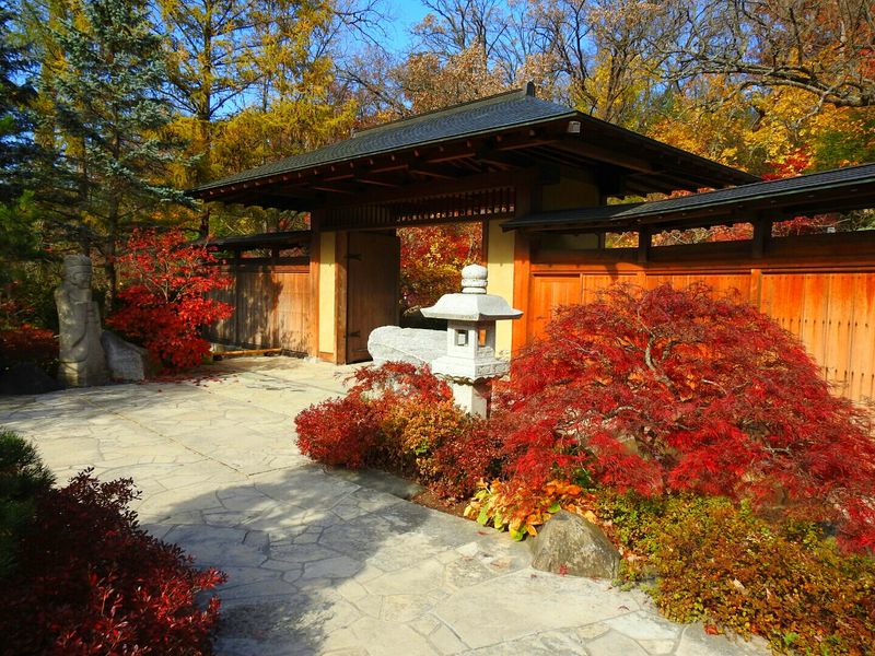 Origins: A Local Dream With Global Roots