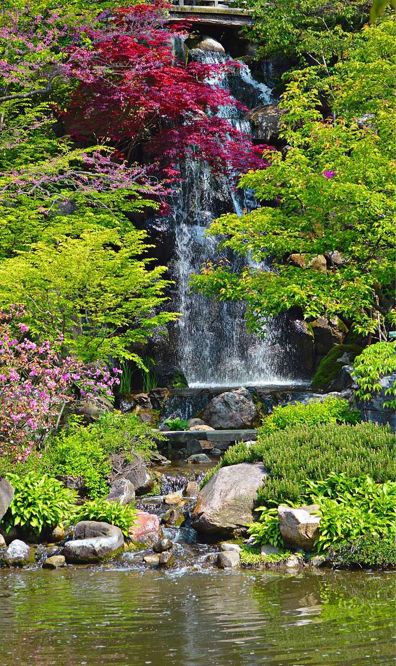 Waterfalls That Steal Your Breath