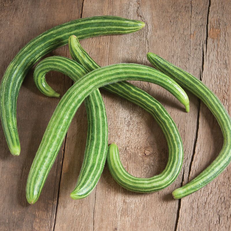 Armenian Cucumbers