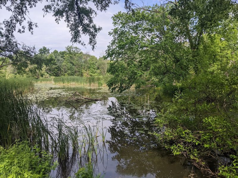 North Park Village Nature Center