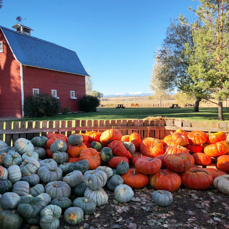Osborn Farm Osborn Farm