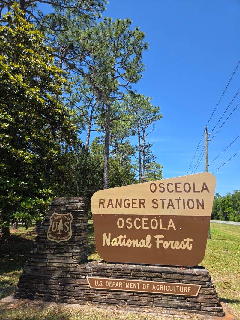 Osceola National Forest