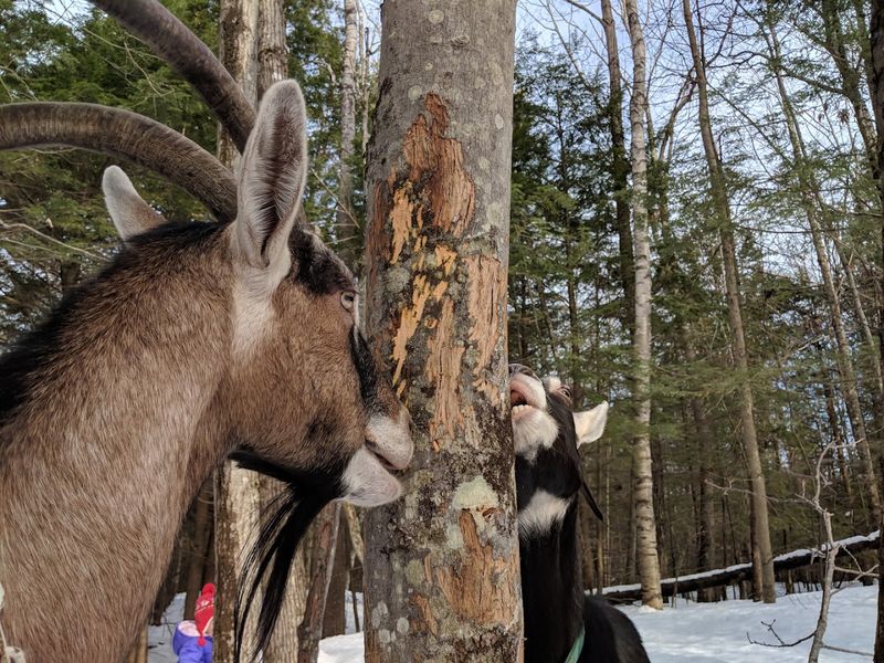 Worth Visiting Year-Round