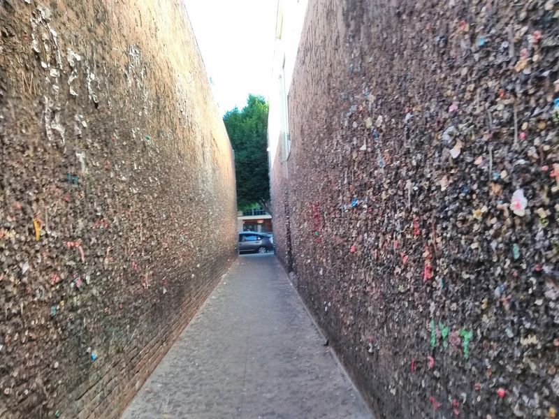 Other Gum Walls Worth Knowing About