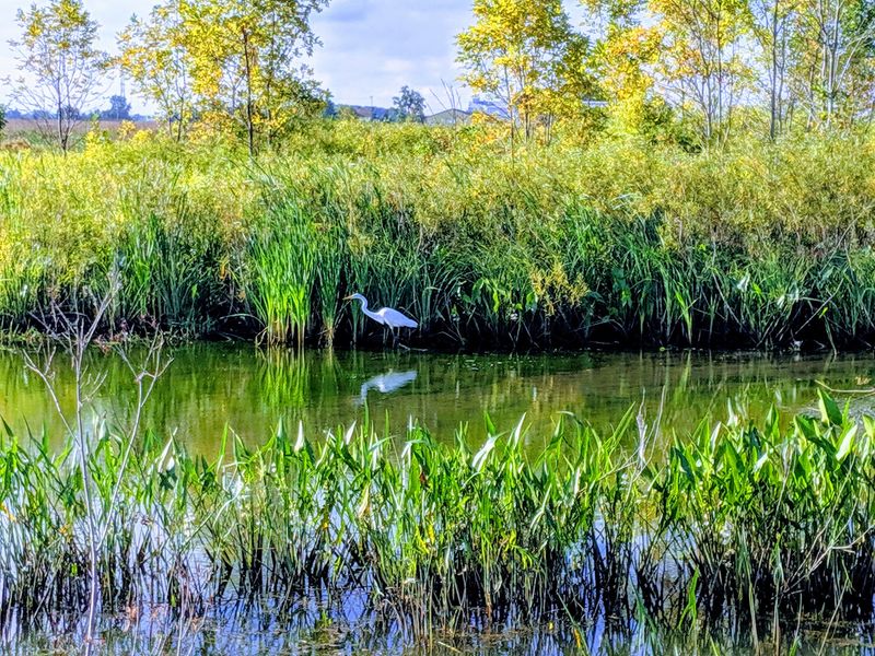 Ottawa National Wildlife Refuge, Oak Harbor