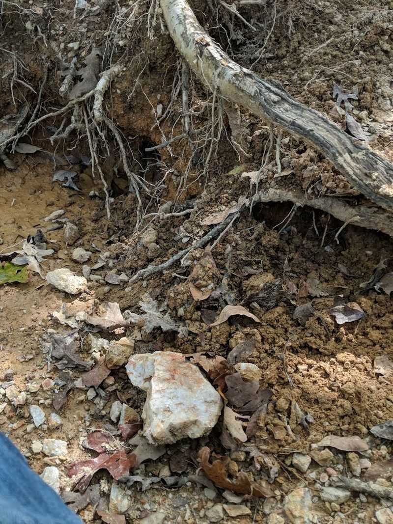 Fresh Tailings And Digging Pits