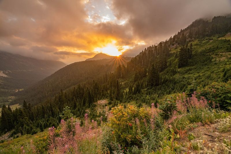 Outdoor Adventures For Every Season