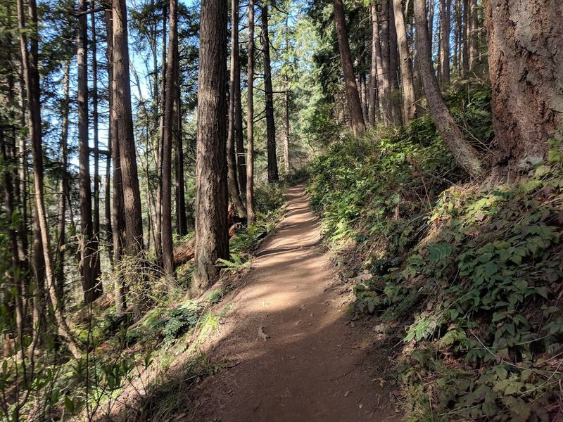 Outdoor Adventures That Keep Your Wallet Happy