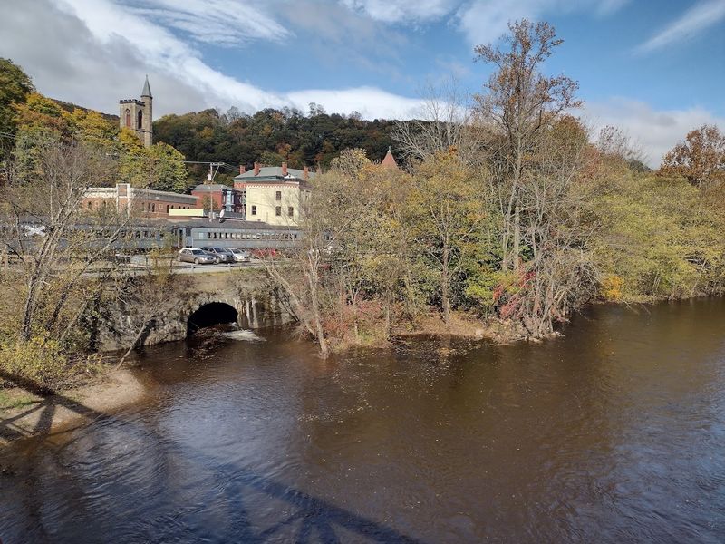 The Haunting Beauty of Fall Foliage Season