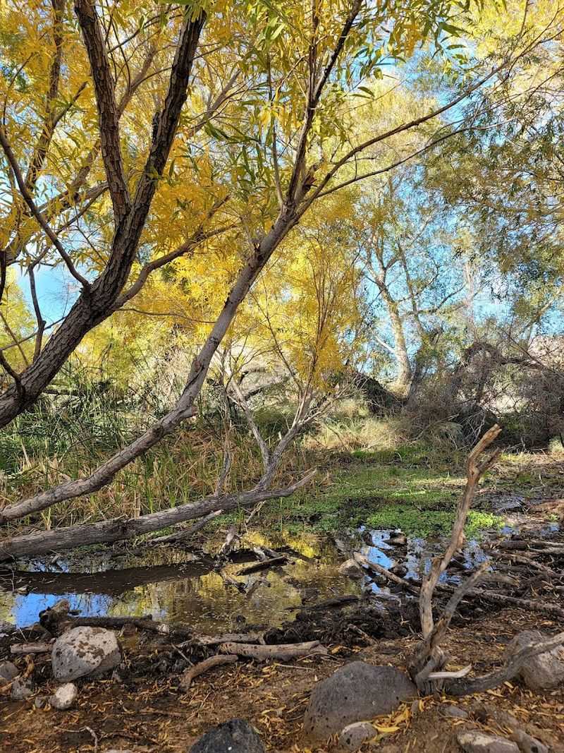 Outdoor Recreation Beyond The River