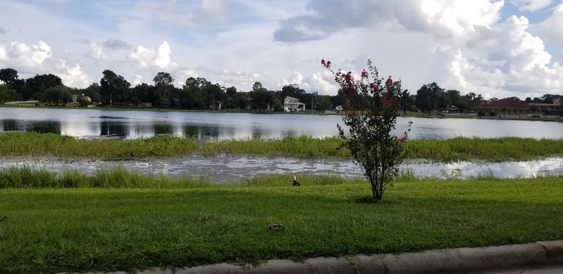 Low State Taxes Make Social Security Go Further