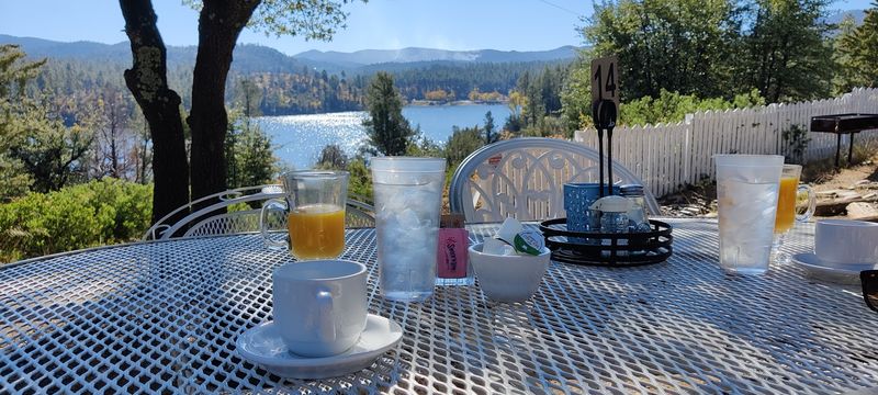 Outdoor Seating And A Dog-Friendly Policy