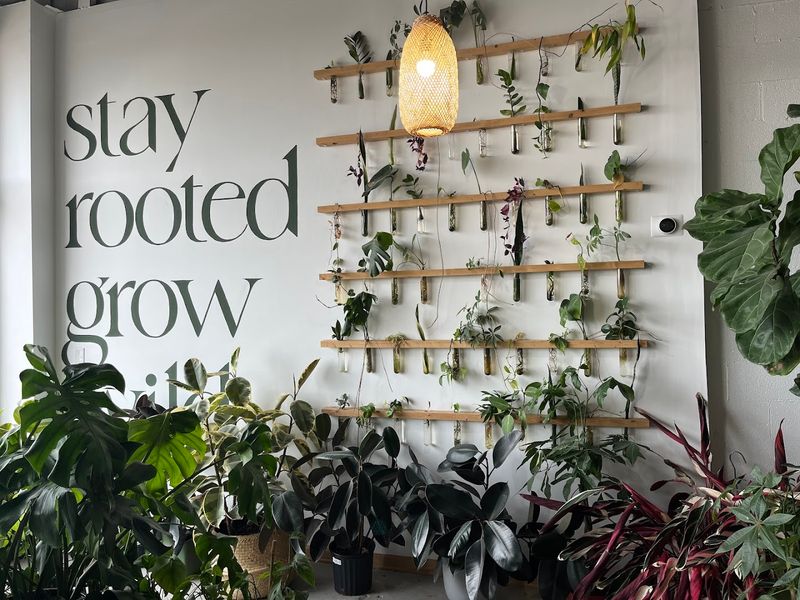 Leaving With A New Plant Feels Like Bringing Home A Little Magic