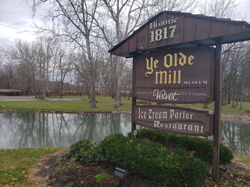 Feeding Ducks at the Scenic Ponds