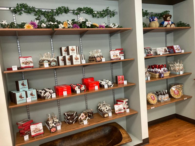 Tour Timing And Planning