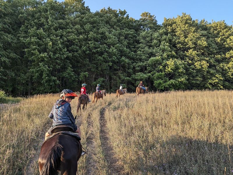 Outrider Horseback Riding