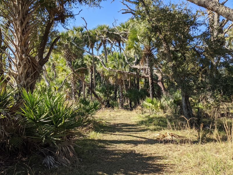 Over 100 Miles Of Hiking And Equestrian Trails