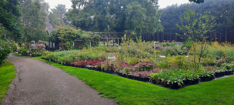 Over 1,000 Plant Varieties Will Test Your Willpower