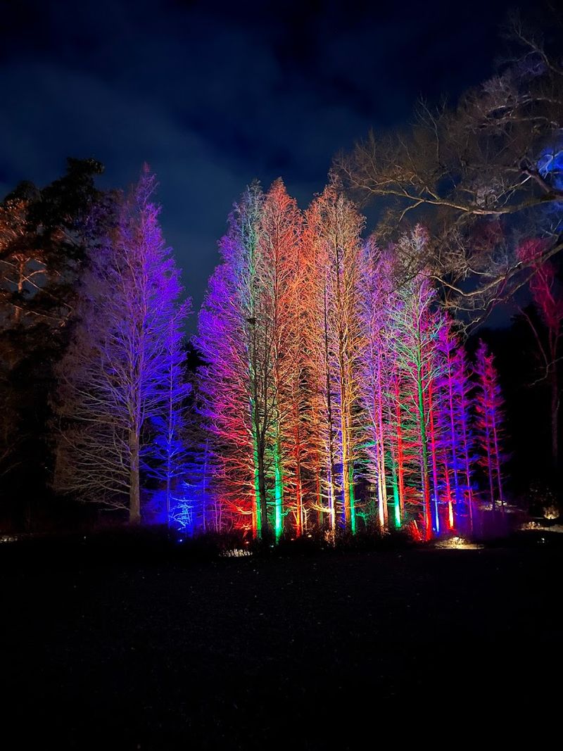 Seasonal Transformations That Keep Every Visit Fresh