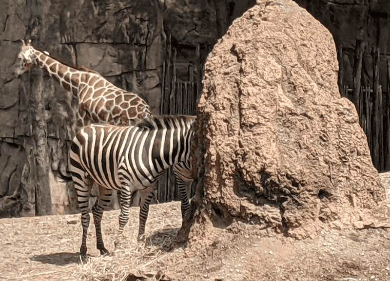 Over 170 Animal Species Call This Zoo Home