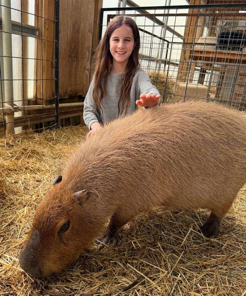 Over 200 Animals Call This Property Home