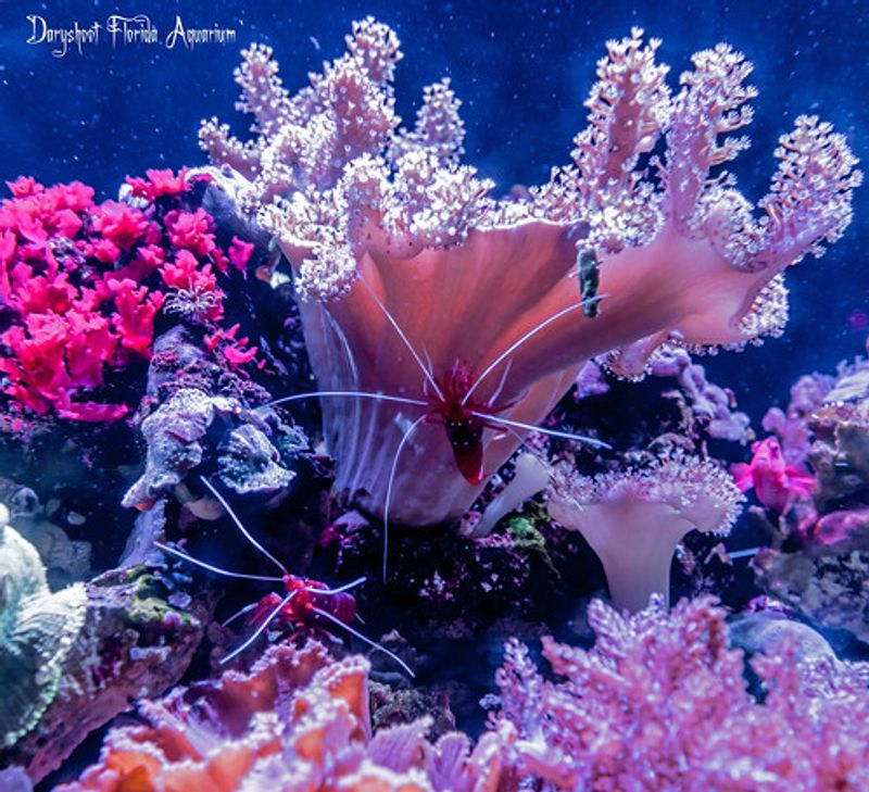 Over 20,000 Animals Create An Immersive After-Dark World Over 20,000 Animals Create An Immersive After-Dark World