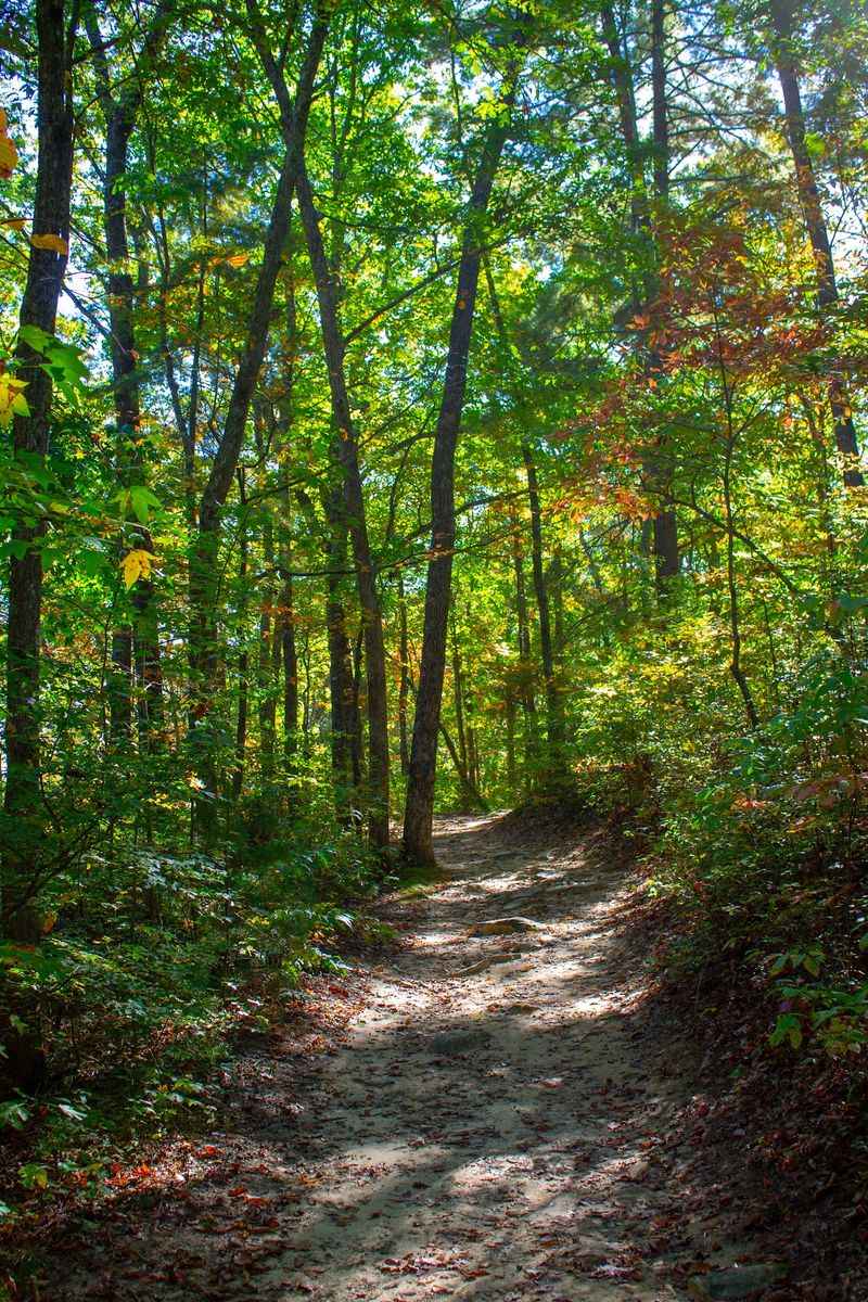 Over 25 Miles Of Hiking And Mountain Biking Trails