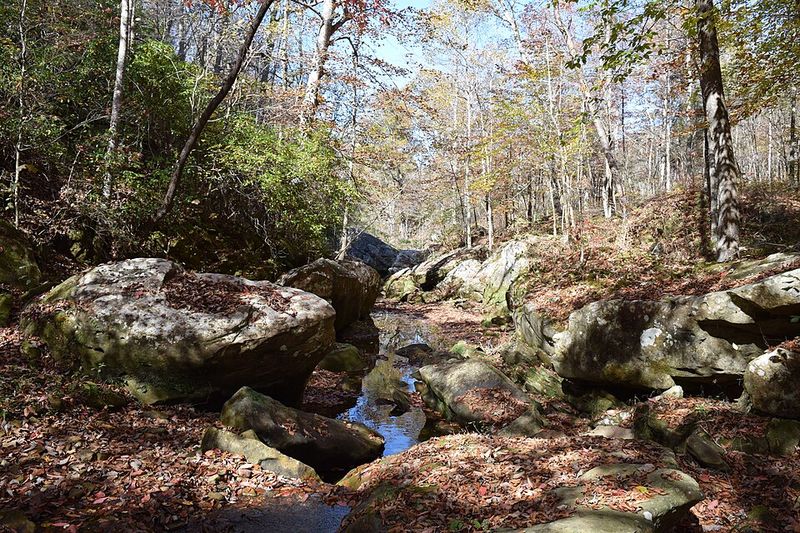 Over 25 Miles Of Trails For Every Kind Of Hiker