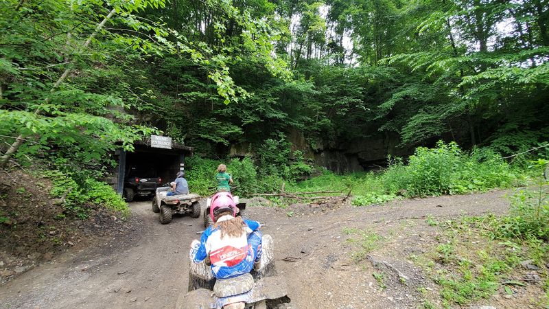 Guided Tours Include Lunch and Professional Photos