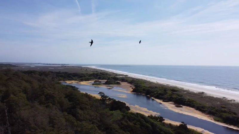 Over 300 Bird Species Call This Park Home