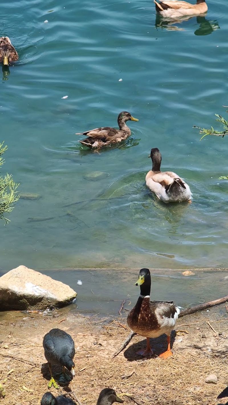 Over 300 Bird Species Documented 
