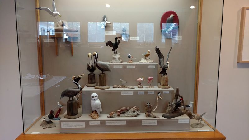 Over 300 Feathered Masterpieces