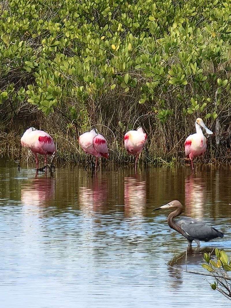 Over 330 Bird Species Have Been Recorded Here