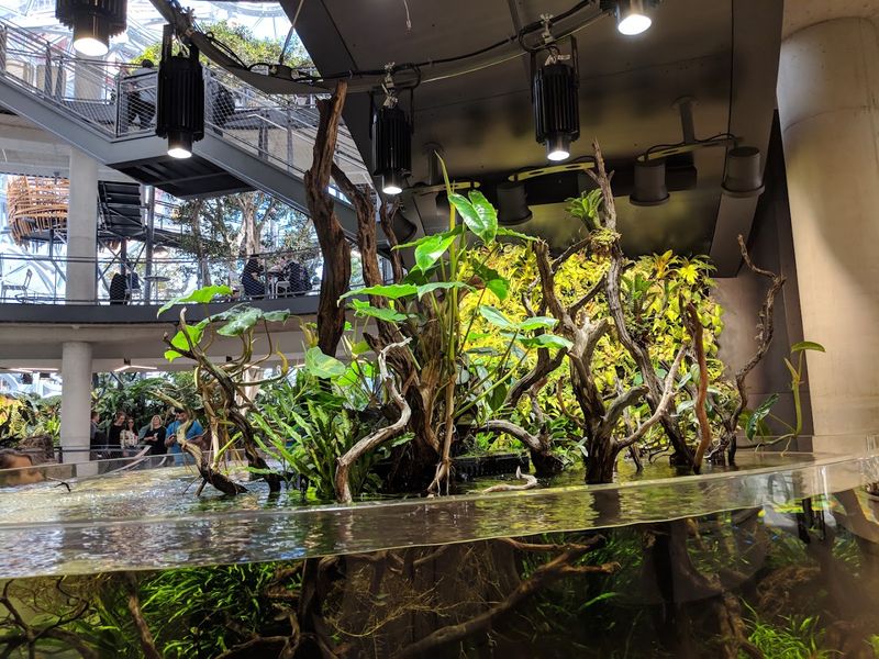 Over 40,000 Plants From More Than 30 Countries