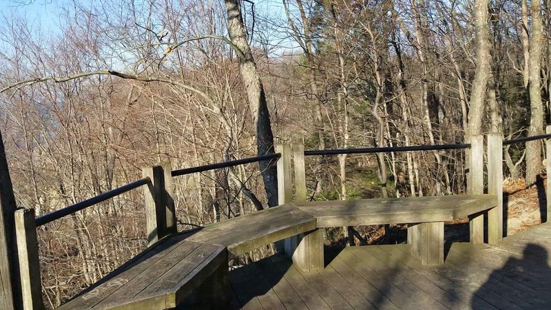 Over 500 Steps Of Forest Trails Will Test Your Calves Over 500 Steps Of Forest Trails Will Test Your Calves