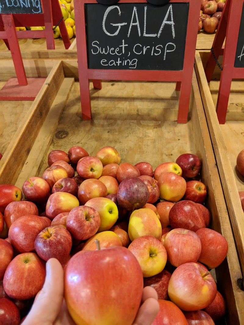 Over 70 Apple Varieties And Counting