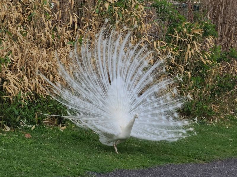 Practical Tips To Make Your Visit Absolutely Perfect