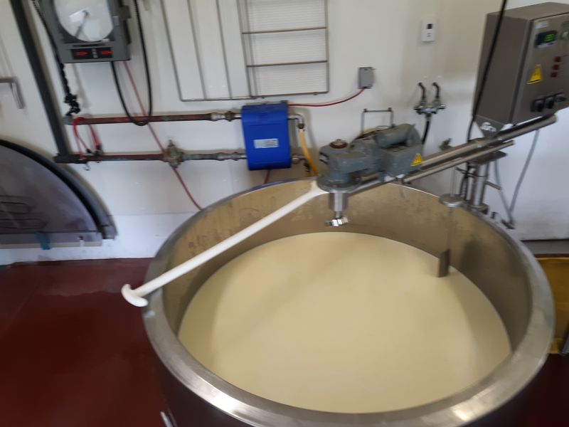 Georgic Quark Is A Hidden Gem